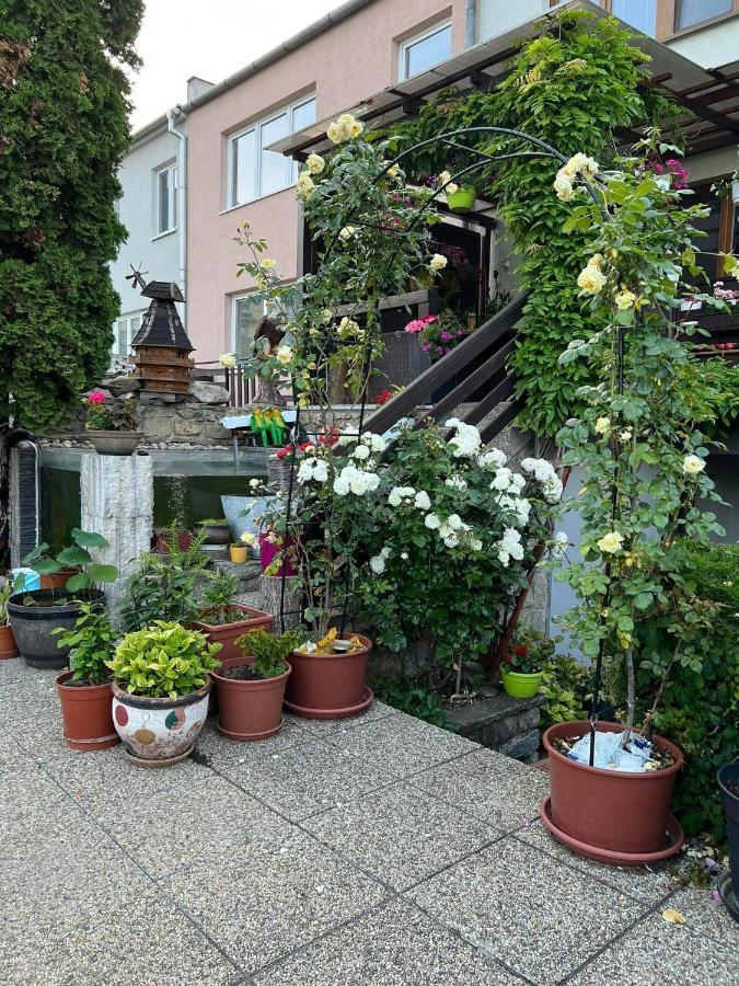 Ubytovani Na Hrazi 91 Znojmo Zewnętrze zdjęcie