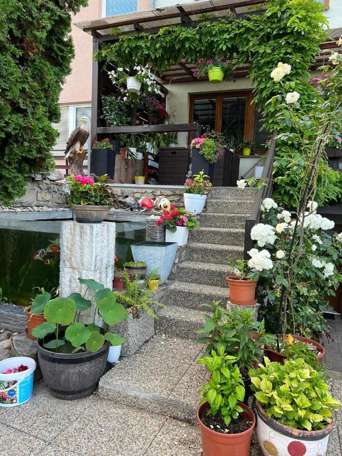 Ubytovani Na Hrazi 91 Znojmo Zewnętrze zdjęcie