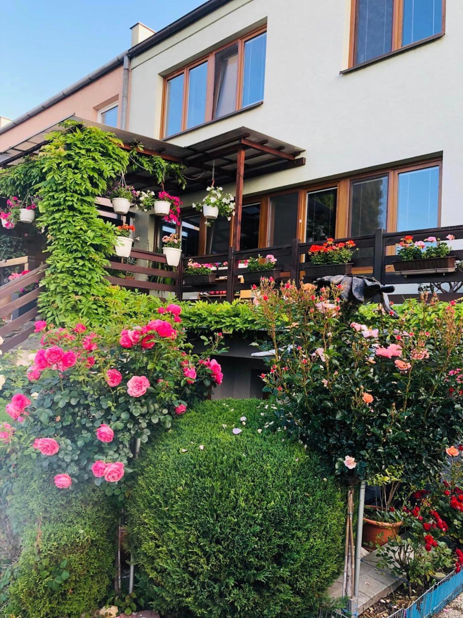 Ubytovani Na Hrazi 91 Znojmo Zewnętrze zdjęcie